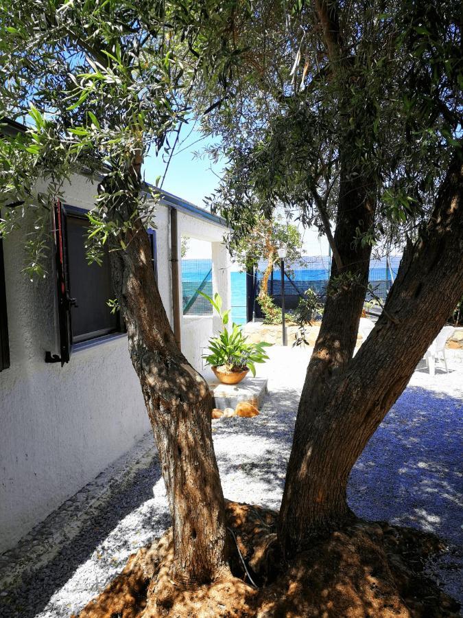 Villa La Plaja Cefalù Exteriér fotografie